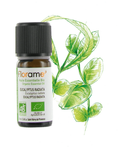 Eucalyptus eteerinen öljy, Eucalyptus Radiata 10 ml - Hahtuva