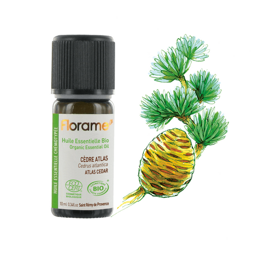 Setripuu Atlas eteerinen öljy 10ml  (Cedrus Atlantica) - Hahtuva