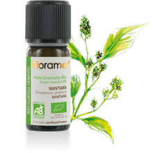 Lataa kuva Galleria-katseluun, Ravintsara eteerinen öljy 10ml ,  (Cinnamomum Camphora) - Hahtuva
